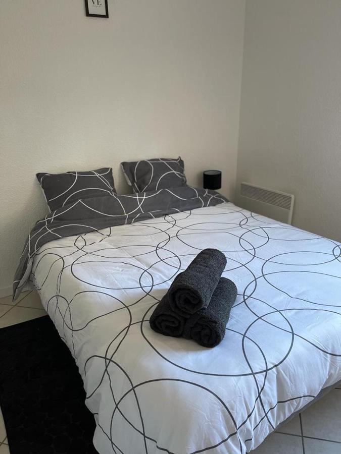 Logement Entier - Universite - Parking Privatif - Wifi Le Mans Bagian luar foto